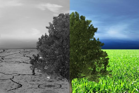 Climate Change Explained And How Clothing Industry Could Make A Difference