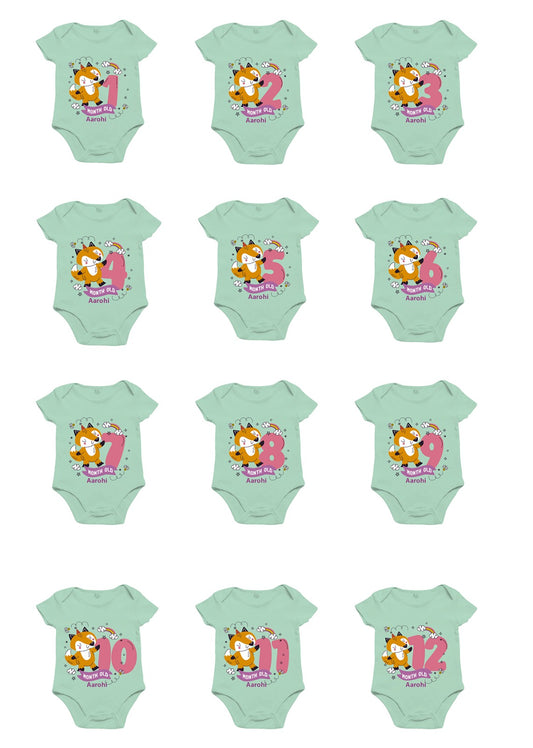 Infant monthly birthday onesie