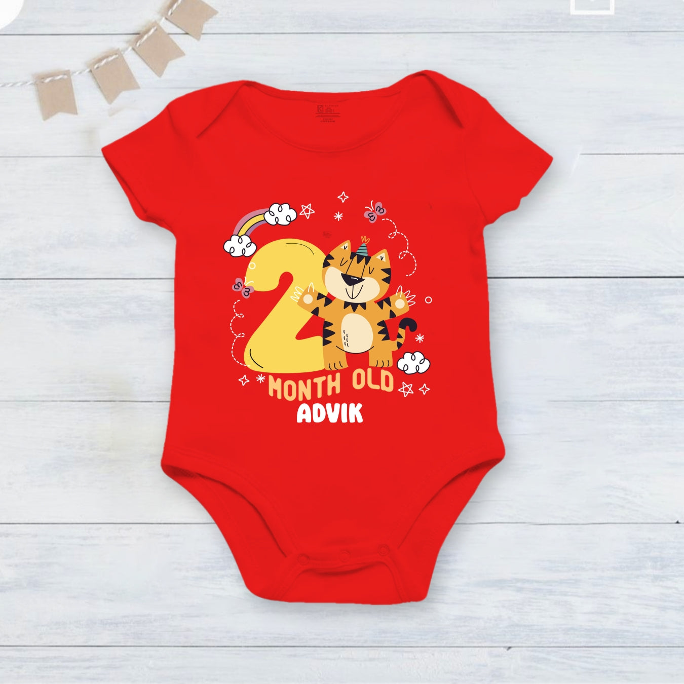 Infant monthly birthday Little Monthlies Onesie