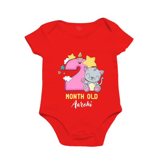 2nd infant monthly birthday milestone onesie