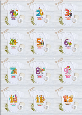 Infant monthly birthday Little Monthlies Onesie