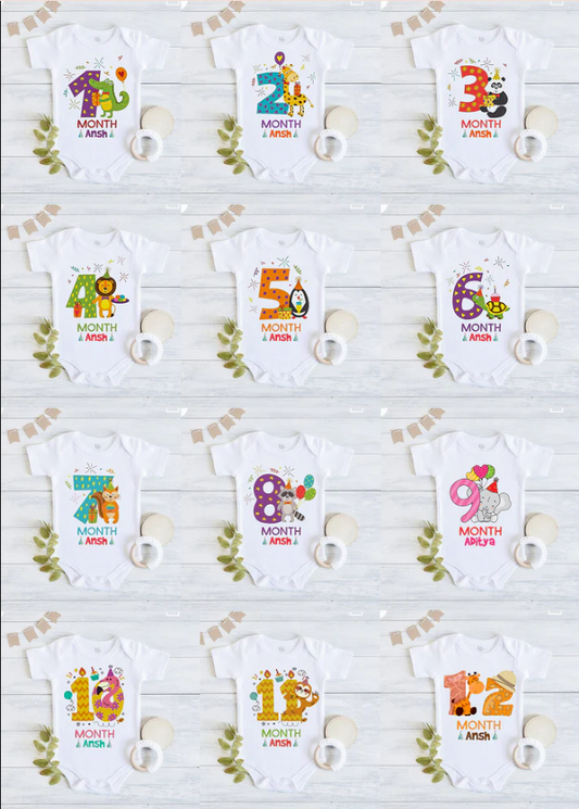 Infant monthly birthday Little Monthlies Onesie