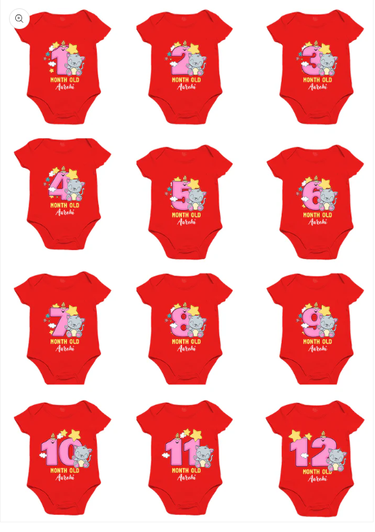 infant monthly birthday milestone onesie