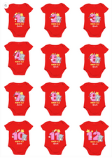infant monthly birthday milestone onesie