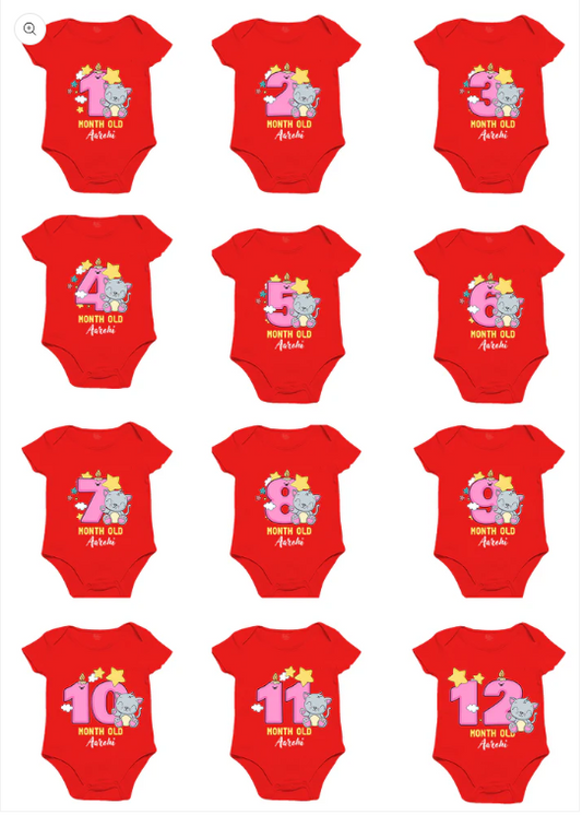 infant monthly birthday milestone onesie