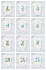 Infant monthly birthday Dinosaur 12 Months of Love_ Customized name White Onesie
