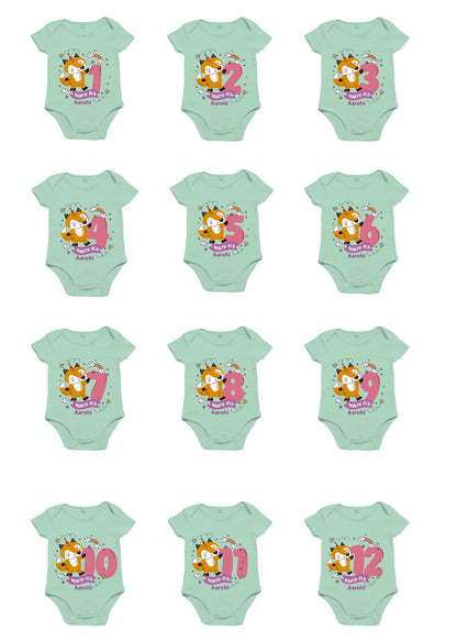 Infant monthly birthday onesie