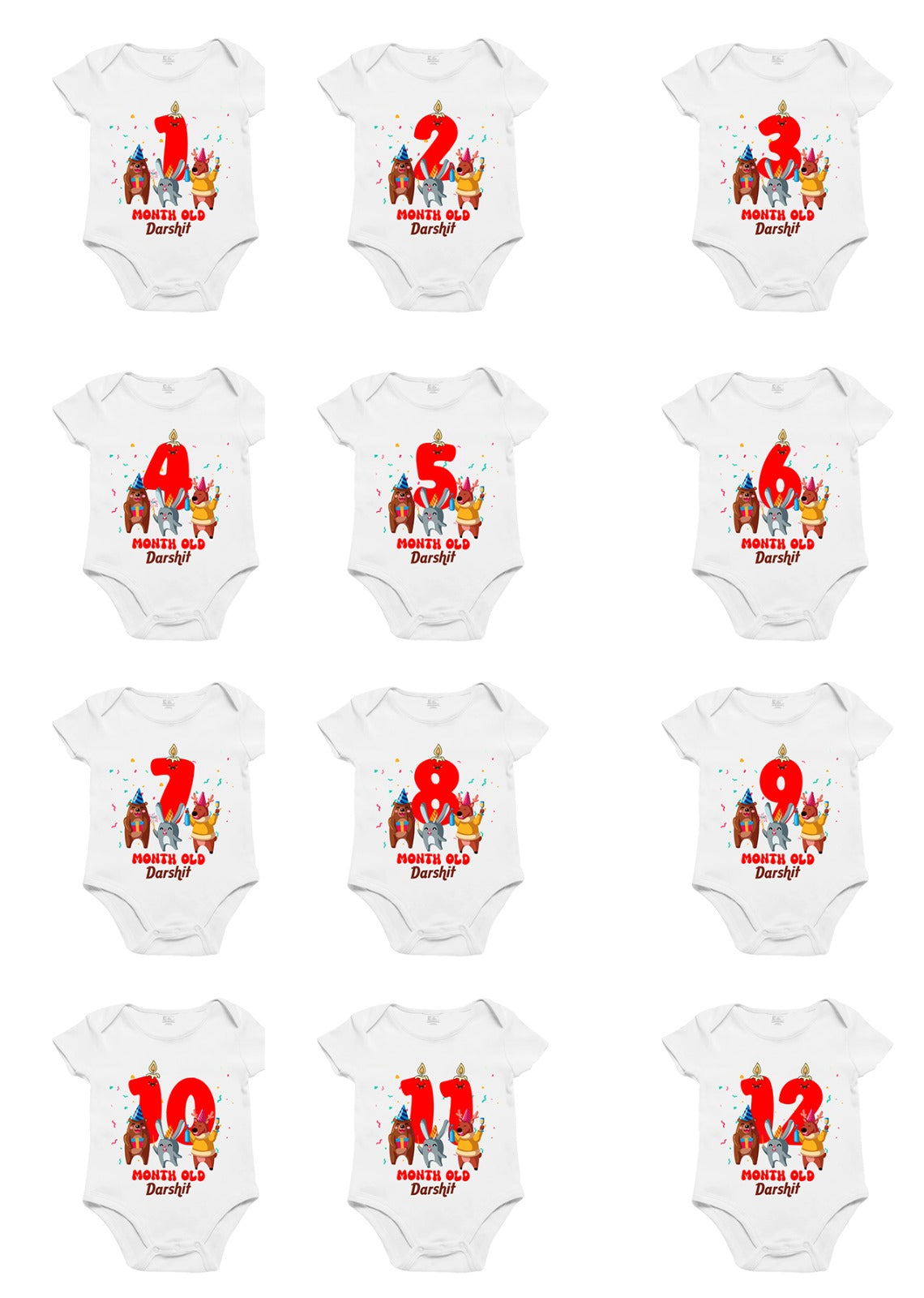 Infant monthly Birthday Bliss Onesie