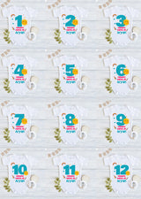 Infant monthly birthday with customized name 12 Months of Love and Happiness onesies